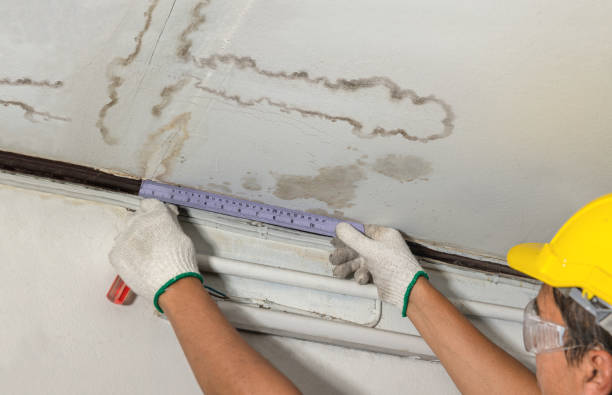 Reliable Water Damage contractor in Wellesley, MA by Water Damage Irwin